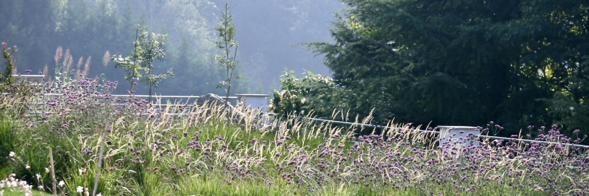 giardino 2